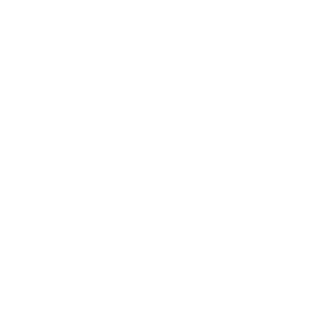 ticket icon