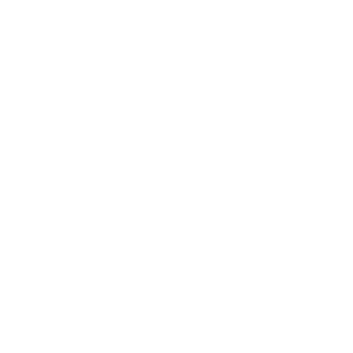 ticket icon