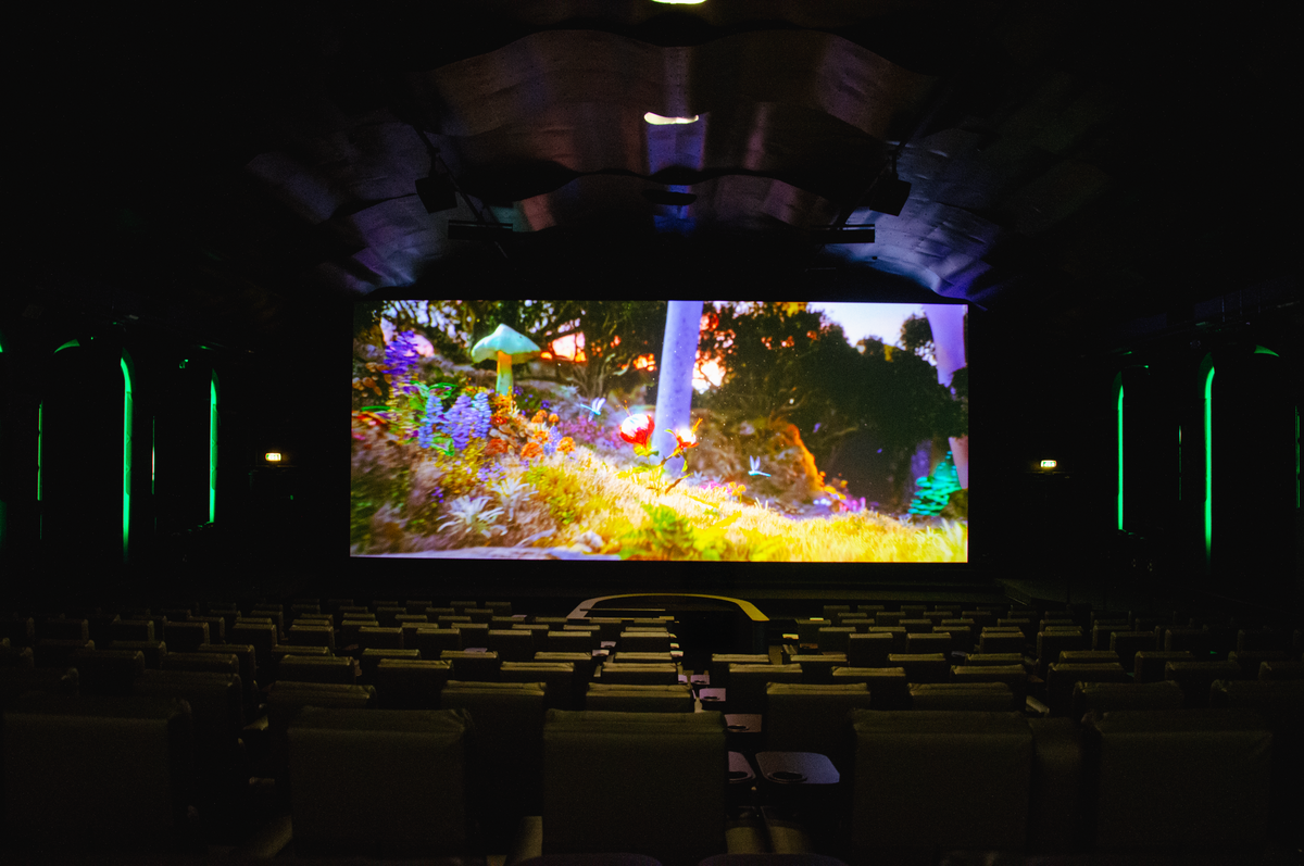 Bilde 07.11.2020, 14 54 18 (1).jpg