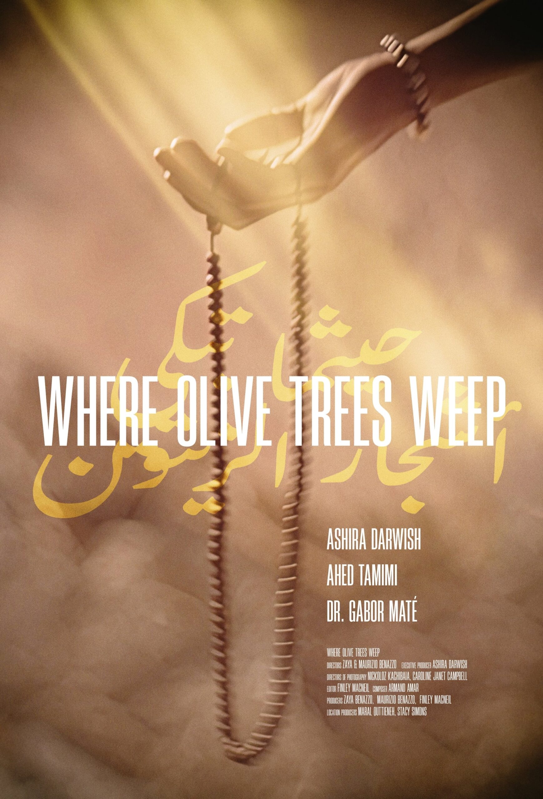 Where the Olive Trees Weep